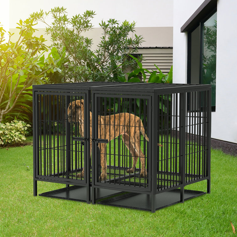 52 inch shop dog kennel